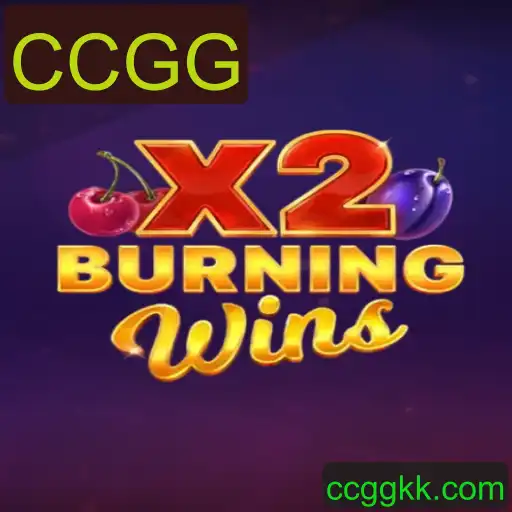 Descubra o Excitante Jogo BurningWinsX2: Regras, Descrição e Introdução